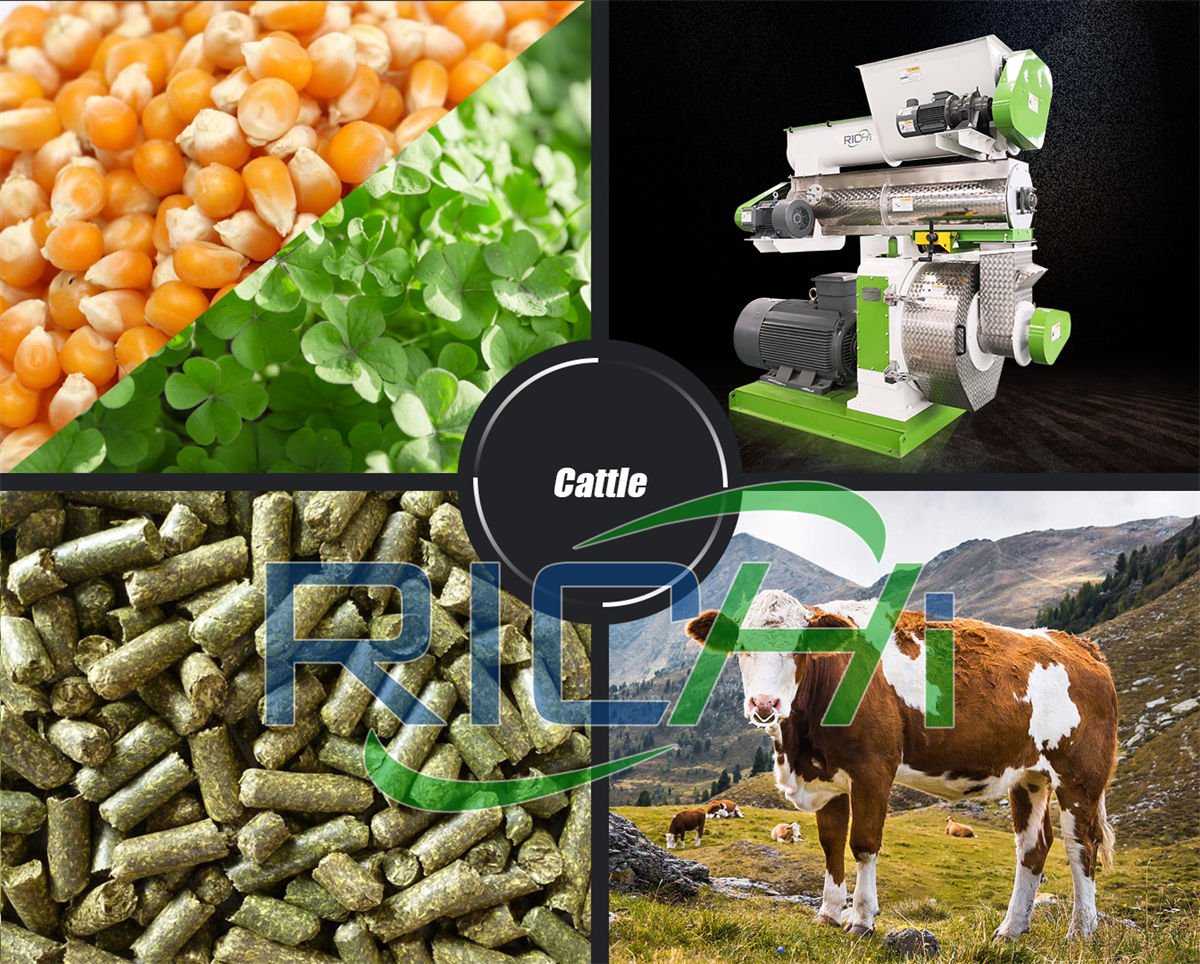 poultry feed pellet making machine