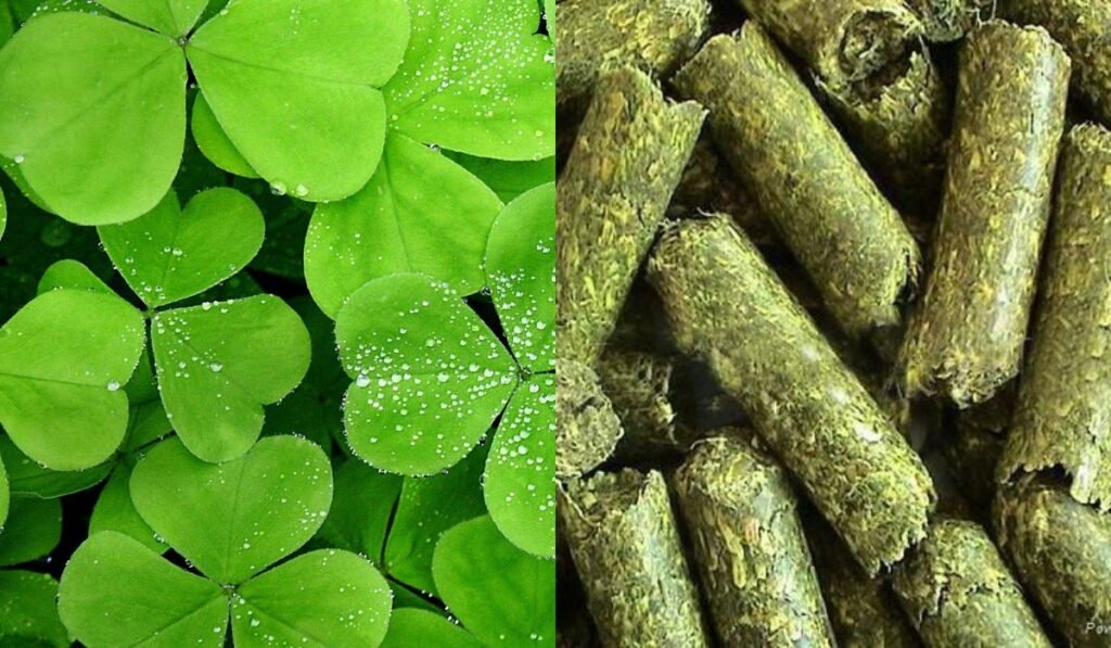 grass pellet