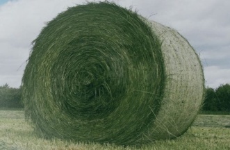 alfalfa pellet machine