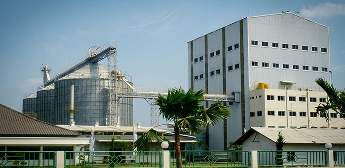 animal feed production line