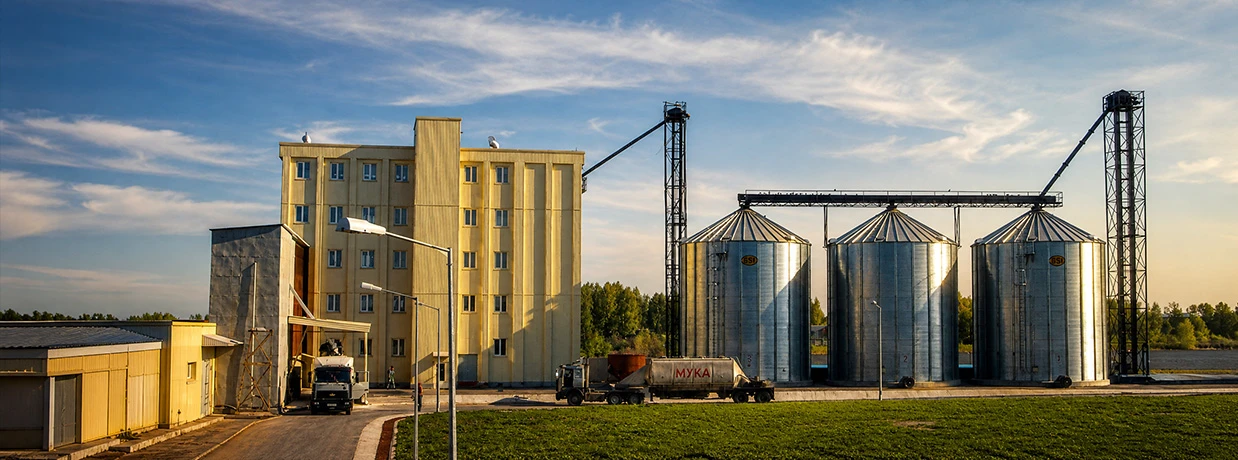 animal feed production line