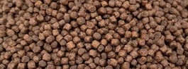 aquatic feed pellet