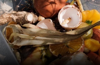 kitchen waste pellet machine