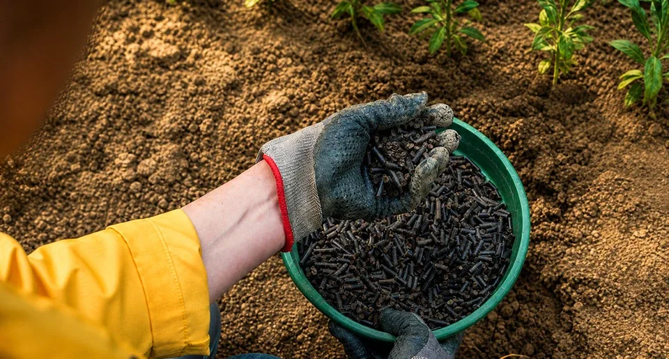 organic fertilizer pellet