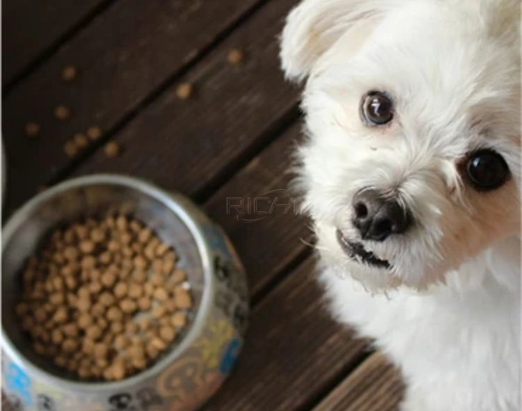 pet food production