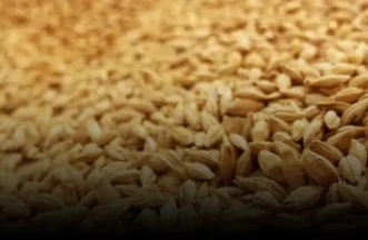 rice husk pellet machine