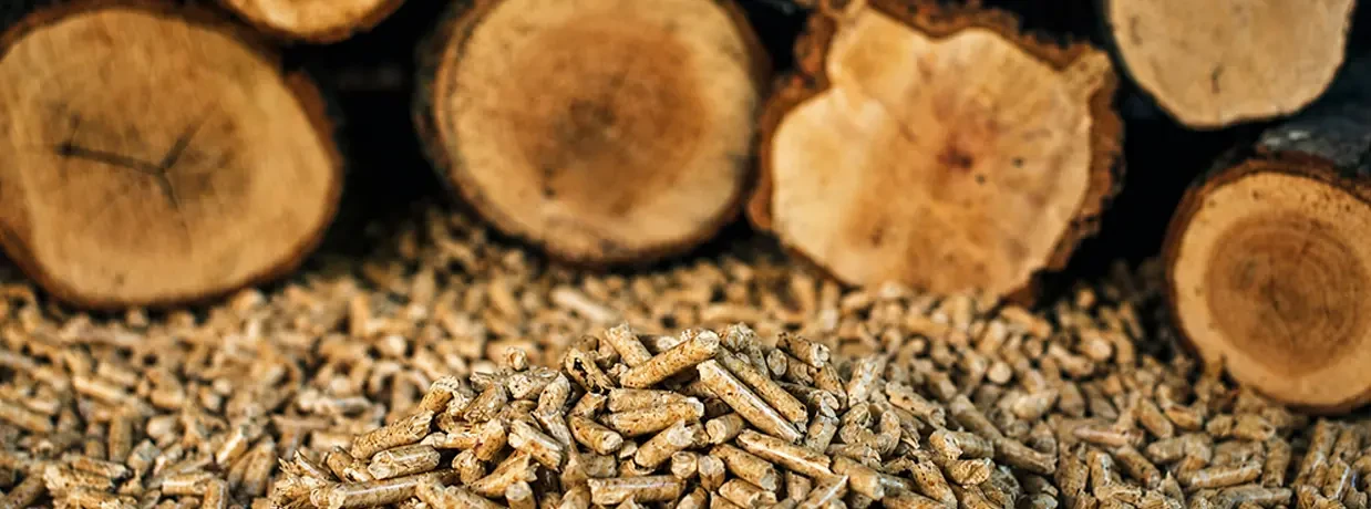 richi biomass pellet mill