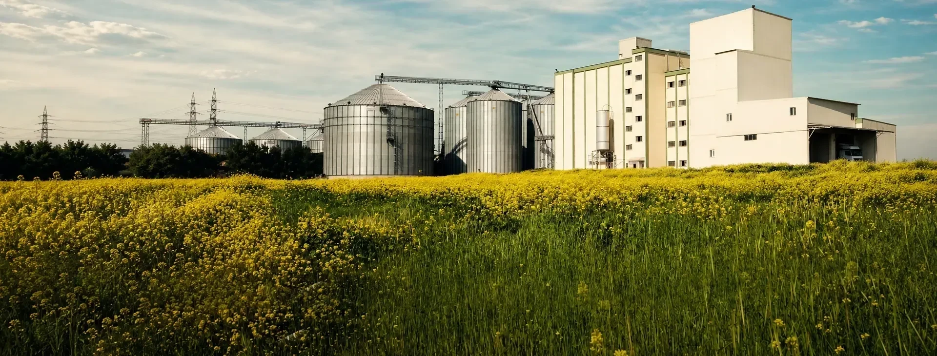 richi production line solution ban