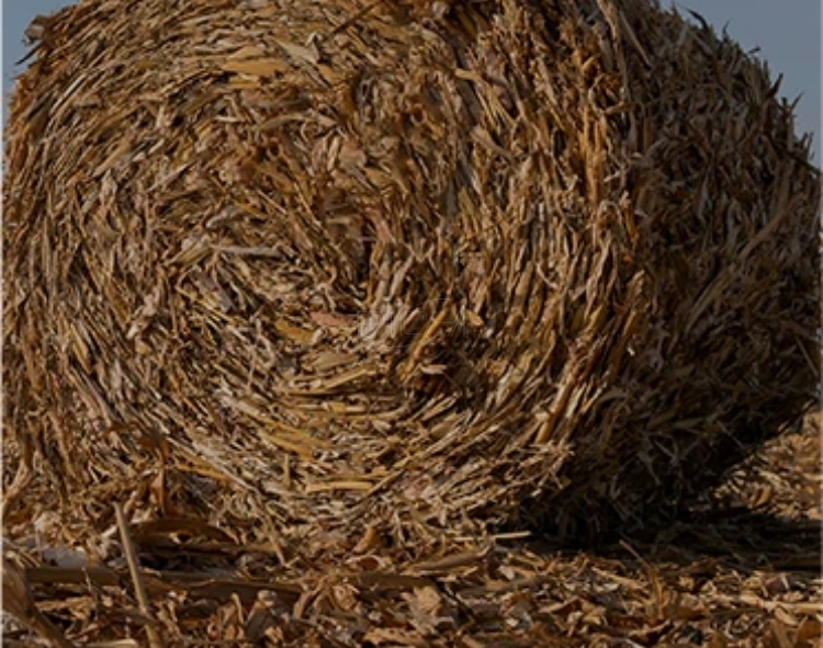straw biomass pellet production