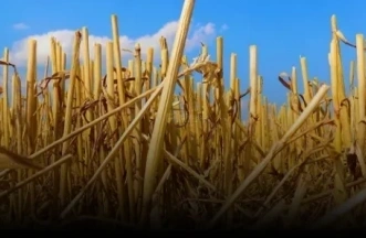 straw-pellet-machine