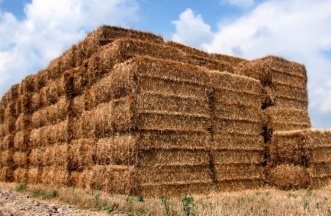 wheat straw pellet machine