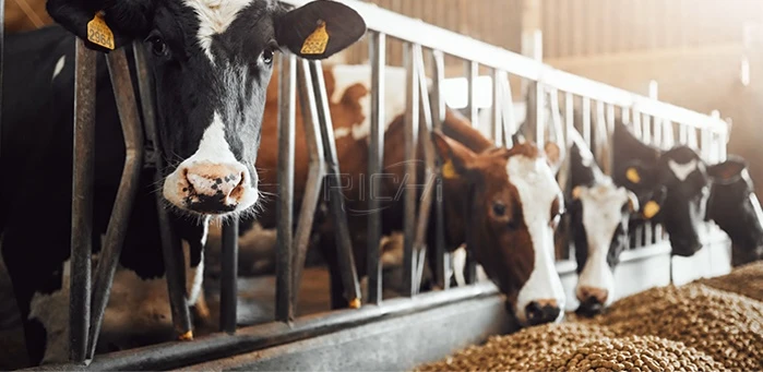 ruminant feed ring die pellet machine