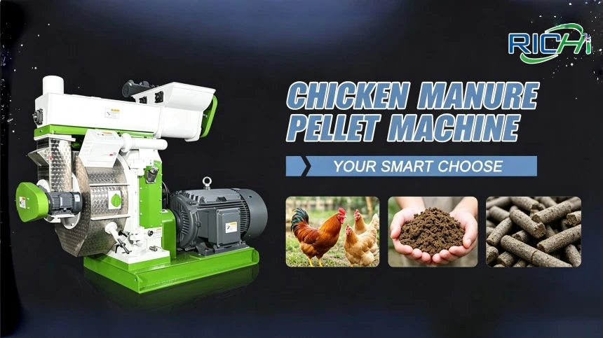 chicken manure pellet machine production video bg