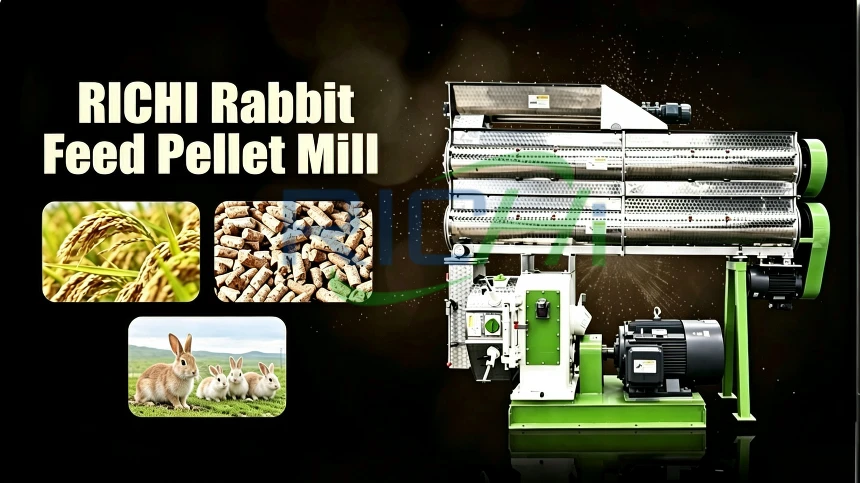 rabbit feed pellet mill pelletizing video bg