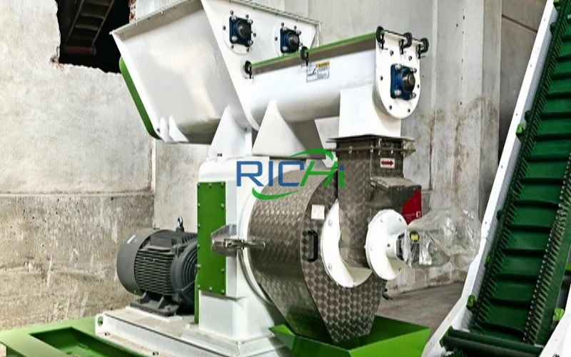 rice husk pellet mill project in egypt