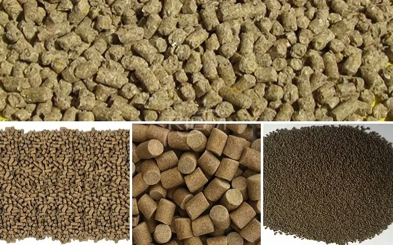 aquatic and animal feed