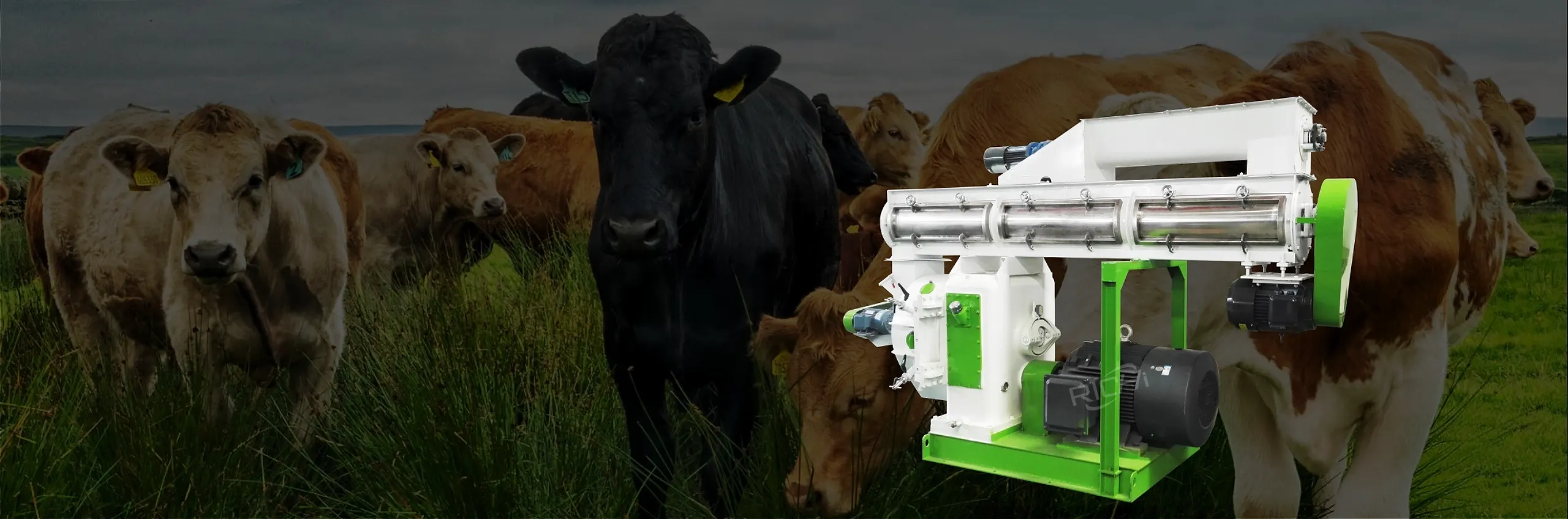 cattle feed pellet mill ban