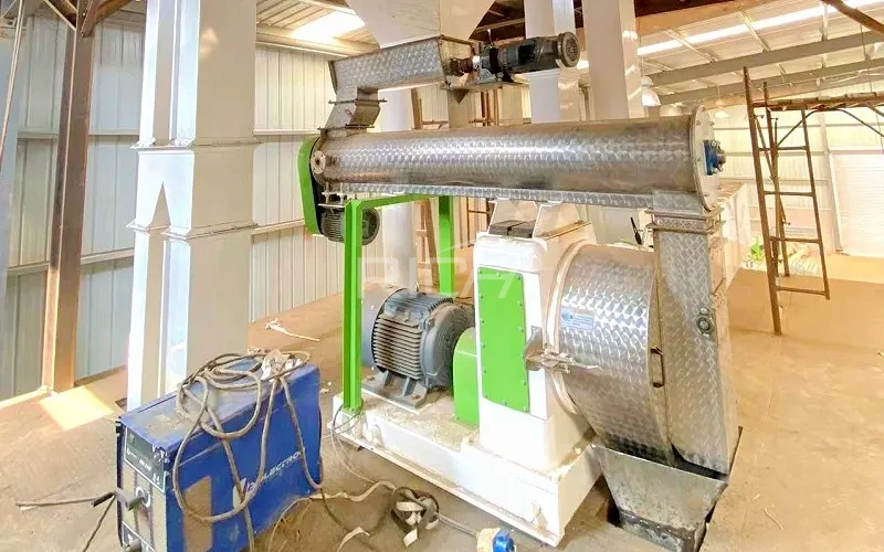 commercial cattle feed pellet mill project in the united states