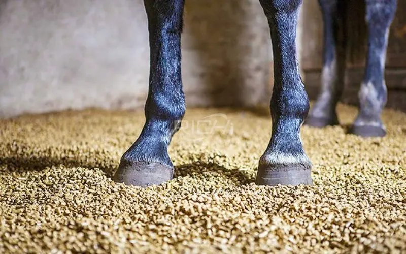 corn stalk animal bedding