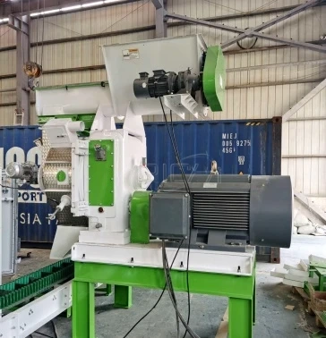 czlh420 straw pellet machine project in poland