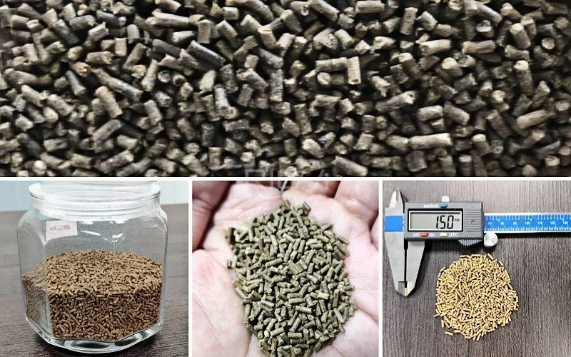 different sizes of shrimp feed