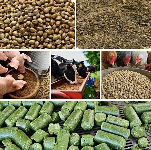 hemp raw material and hemp feed pellets