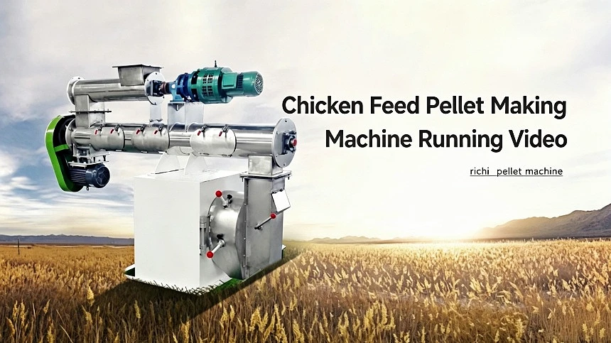 Video zur Maschine zur Herstellung von Hühnerfutterpellets – Hintergrund