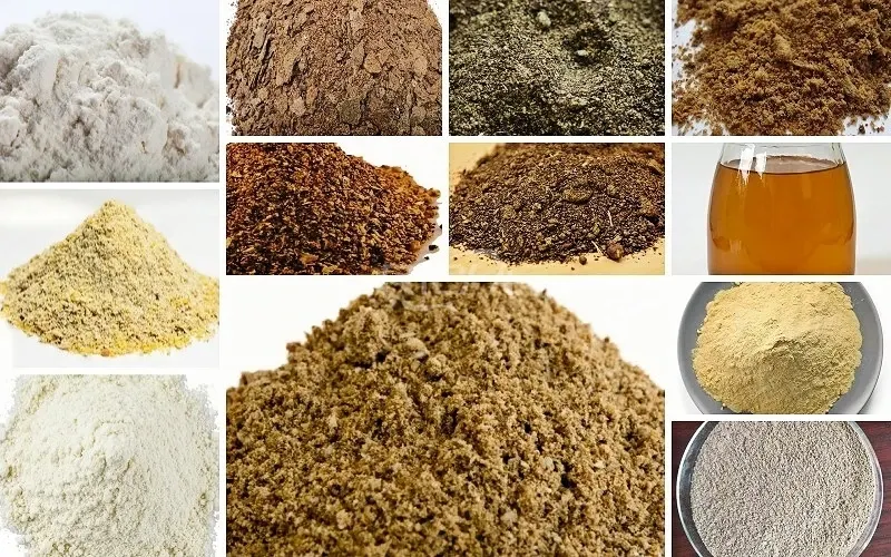 raw materials for shrimp feed