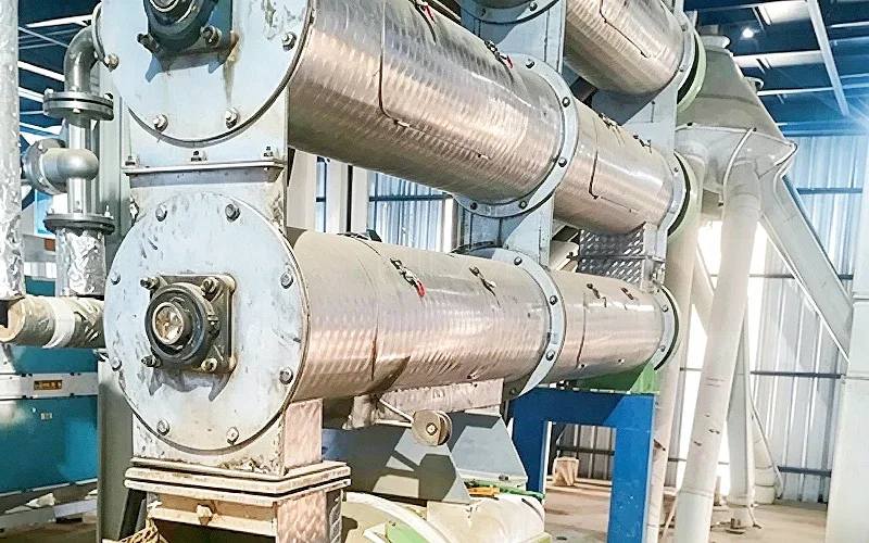 small shrimp feed pellet mill project in ecuador