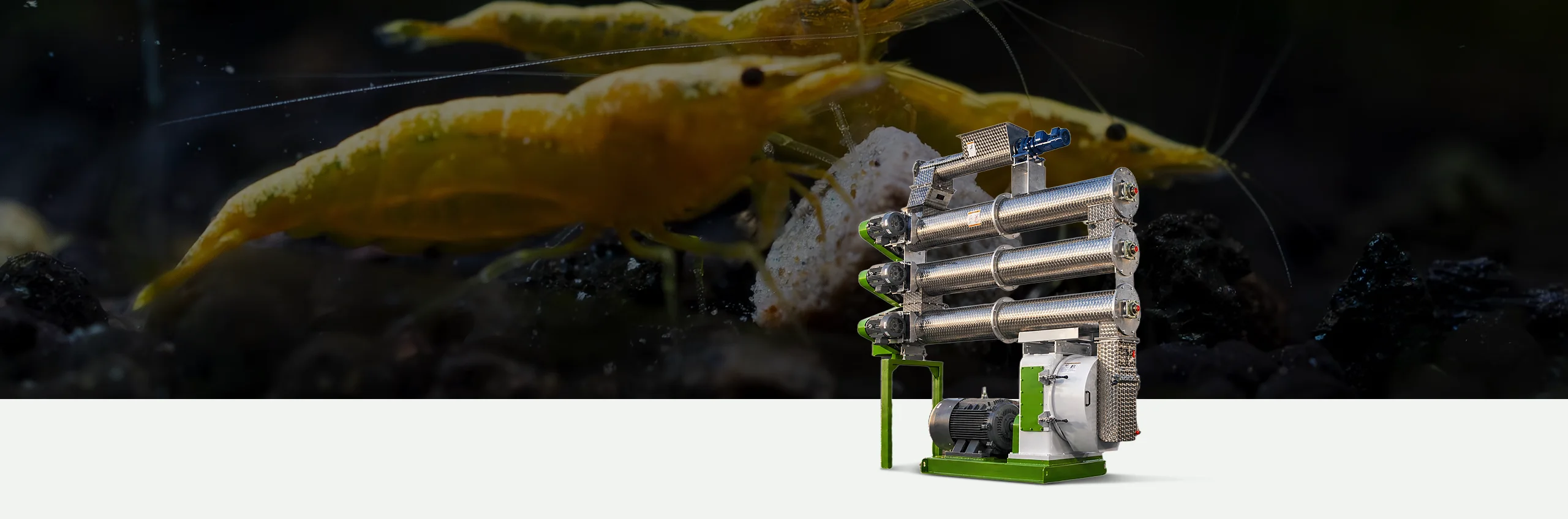 shrimp feed pellet mill ban