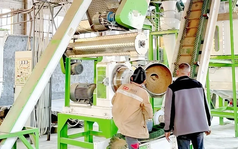 small cattle feed pellet mill project in argentina