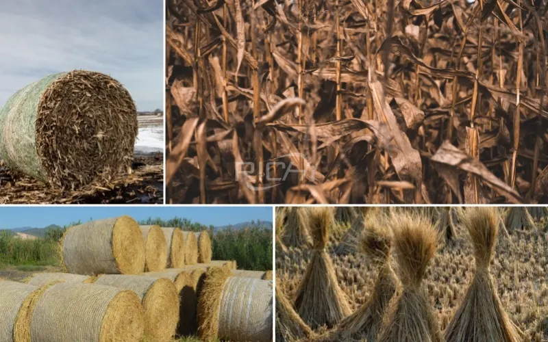 straw type materials